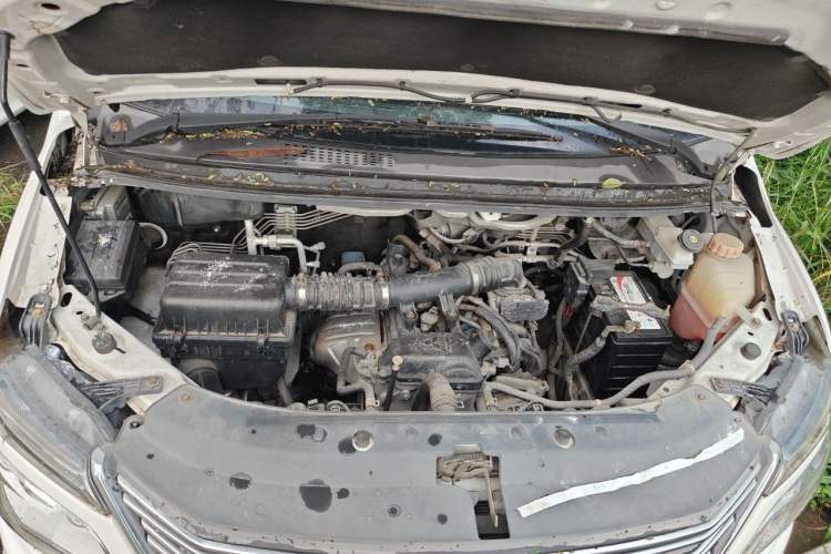 Used FORTHING Lingzhi 2017 M5 1.6L Luxury Model Engine Bay