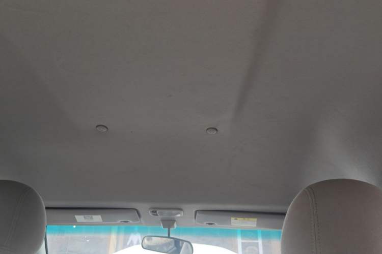 Used FORTHING Lingzhi 2017 M5 1.6L Standard Model Headliner