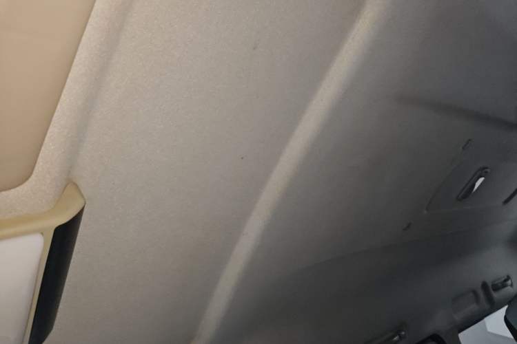 Used FORTHING Lingzhi 2017 M5L 1.6L 7-Seater Standard Model Headliner