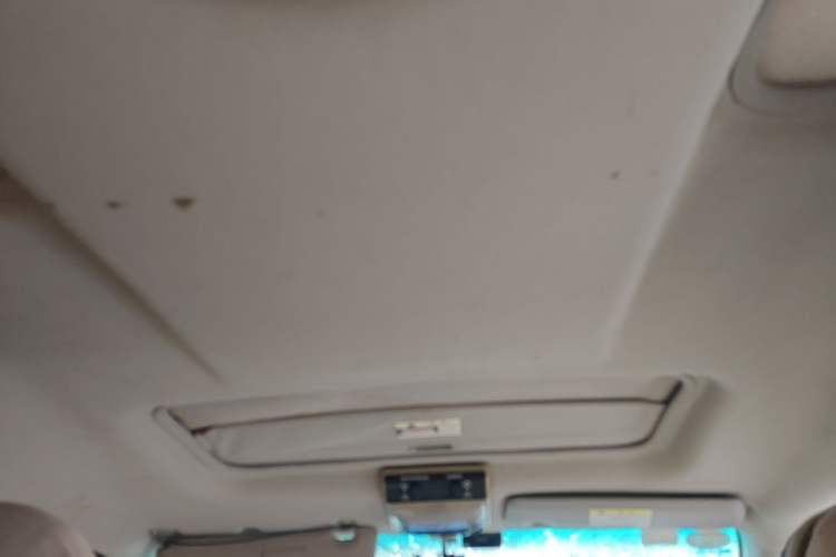 Used FORTHING Lingzhi 2017 M5 1.6L Luxury Model Headliner