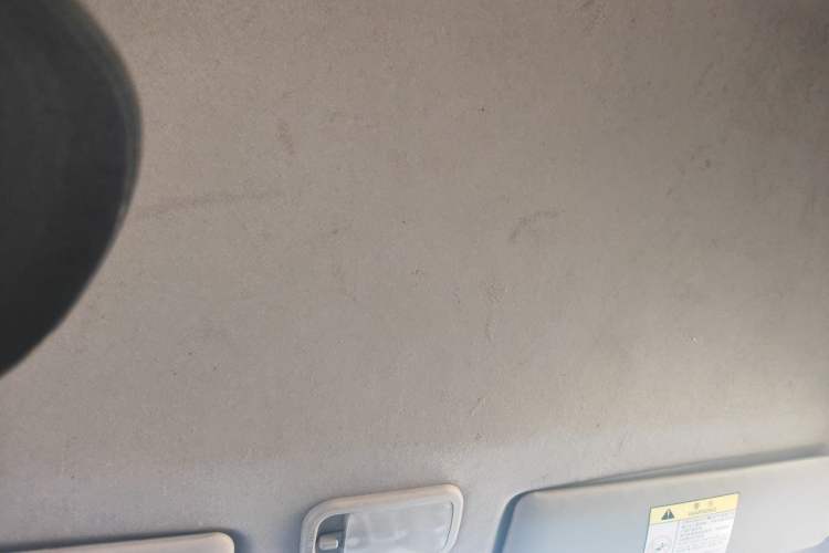 Used FORTHING Lingzhi 2017 M5 1.6L Standard Model Headliner