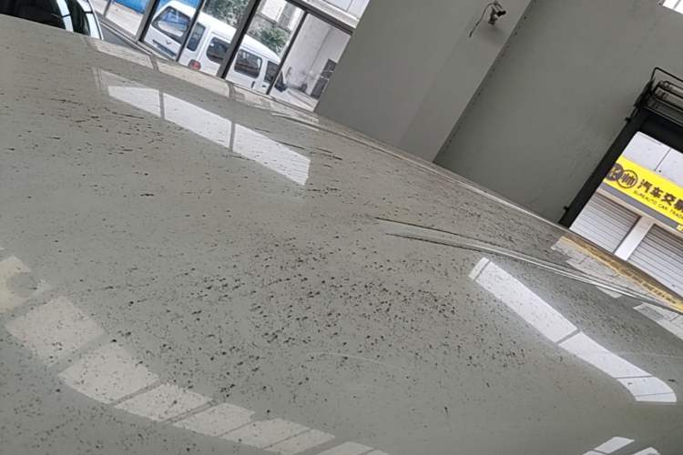 Used FORTHING Lingzhi 2017 M5L 1.6L 7-Seater Comfort Model Roof