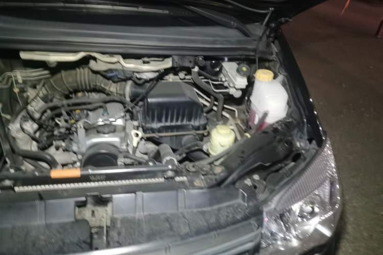 Used FORTHING Lingzhi 2018 V3L 1.6L 2-Seat Logistics Version Engine Bay Left