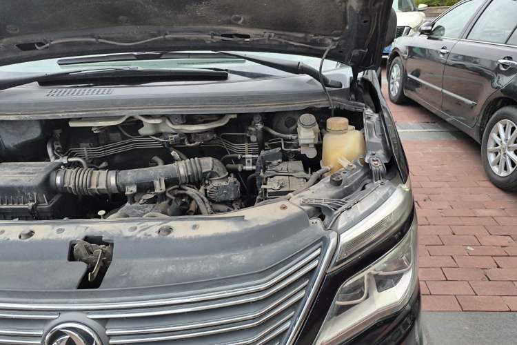 Used FORTHING Lingzhi 2018 M5L 1.6L 7-Seater Luxury Model Engine Bay Left