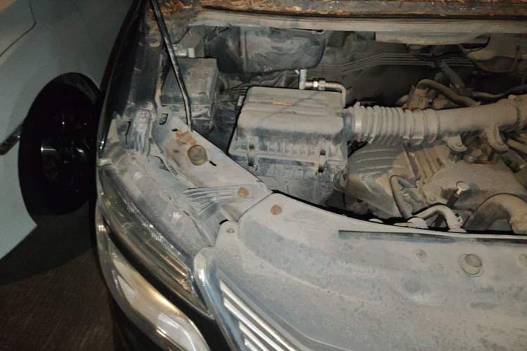 Used FORTHING Lingzhi 2018 M5 1.6L 7-Seater Comfort Model Engine Bay Right