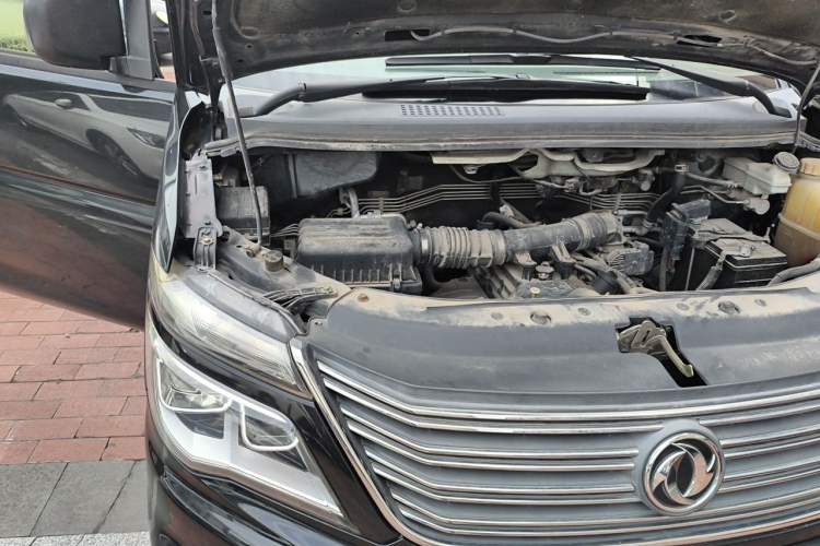 Used FORTHING Lingzhi 2018 M5L 1.6L 7-Seater Luxury Model Engine Bay Right