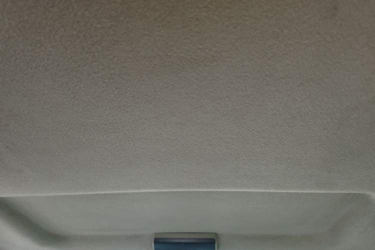 Used FORTHING Lingzhi 2018 M5L 1.6L 9-Seater Comfort Model Headliner