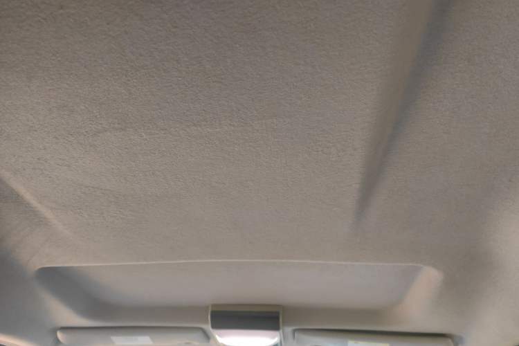 Used FORTHING Lingzhi 2018 M5L 1.6L 7-Seater Comfort Model Headliner
