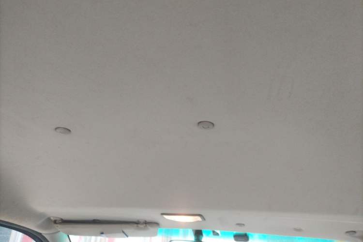 Used FORTHING Lingzhi 2018 M3 1.5L 5-Seat Base Model Headliner