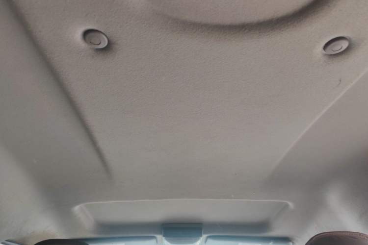 Used FORTHING Lingzhi 2018 M3 1.6L 7-Seater Comfort Model Headliner