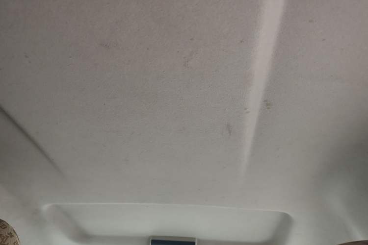 Used FORTHING Lingzhi 2018 M5L 1.6L 7-Seater Comfort Model Headliner