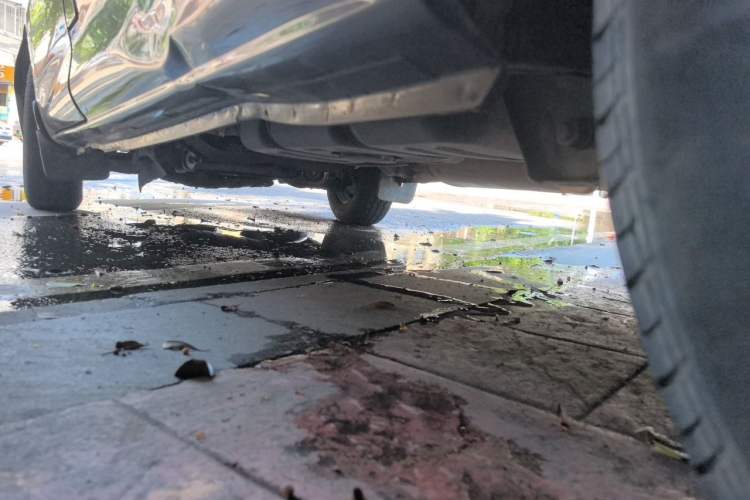 Used FORTHING Lingzhi 2018 M3 1.5L 7-Seater Standard Model Chassis Rear Left