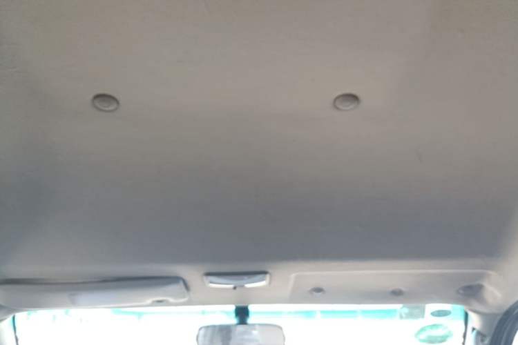 Used FORTHING Lingzhi 2018 M3 1.5L 5-Seat Base Model Headliner