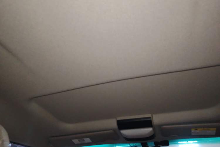 Used FORTHING Lingzhi 2018 M5L 1.6L 7-Seater Luxury Model Headliner