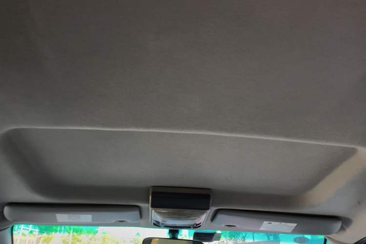 Used FORTHING Lingzhi 2018 M3L 1.6L 7-Seater Comfort Model Headliner