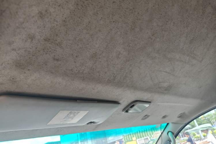 Used FORTHING Lingzhi 2018 V3L 1.6L 2-Seat Logistics Version Headliner
