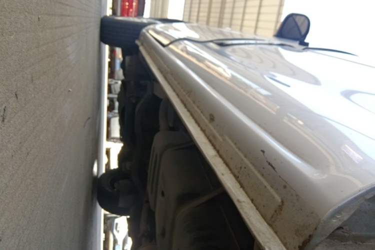 Used FORTHING Lingzhi 2018 M3 1.5L 5-Seat Base Model Left Side Sill