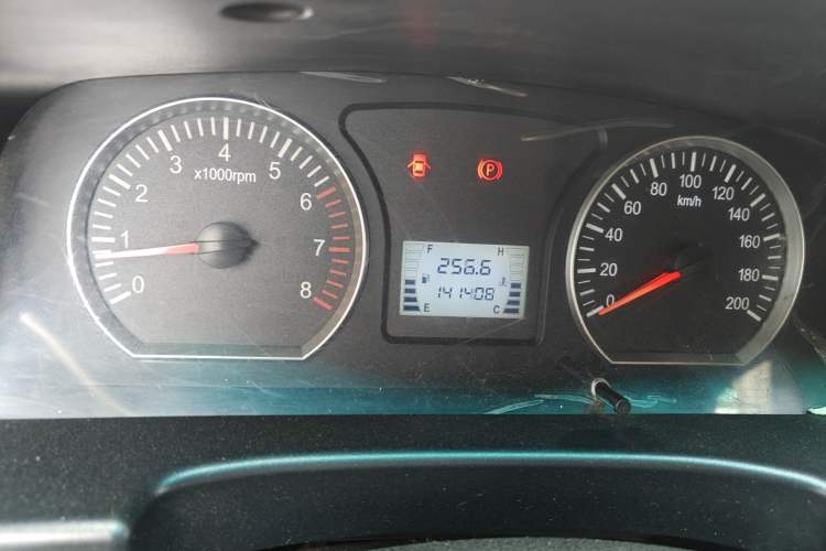 Used FORTHING Lingzhi  Odometer Close Up