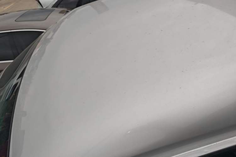Used FORTHING Lingzhi 2018 M3 1.5L 5-Seat Base Model Roof
