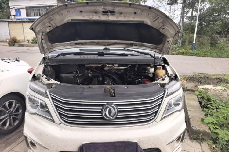 Used FORTHING Lingzhi 2018 M5L 2.0L 7-Seater Comfort Model Engine Bay