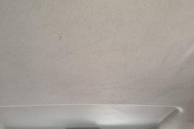 Used FORTHING Lingzhi 2018 M3L 1.6L 7-Seater Comfort Model Headliner
