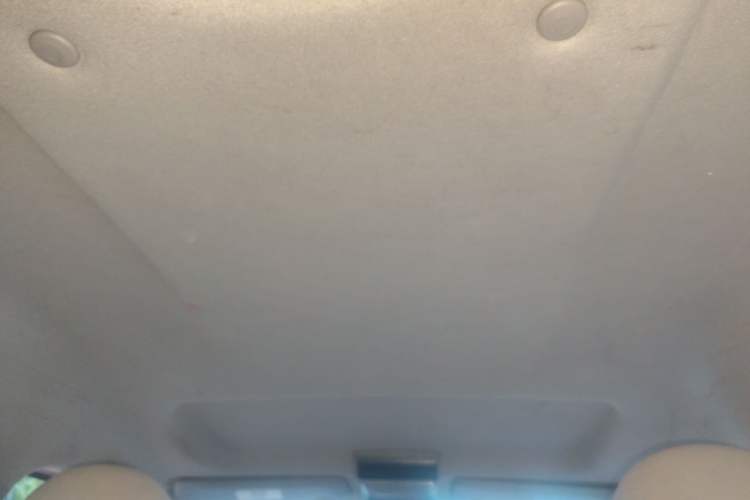 Used FORTHING Lingzhi 2018 M3L 1.6L 7-Seater Comfort Model Headliner
