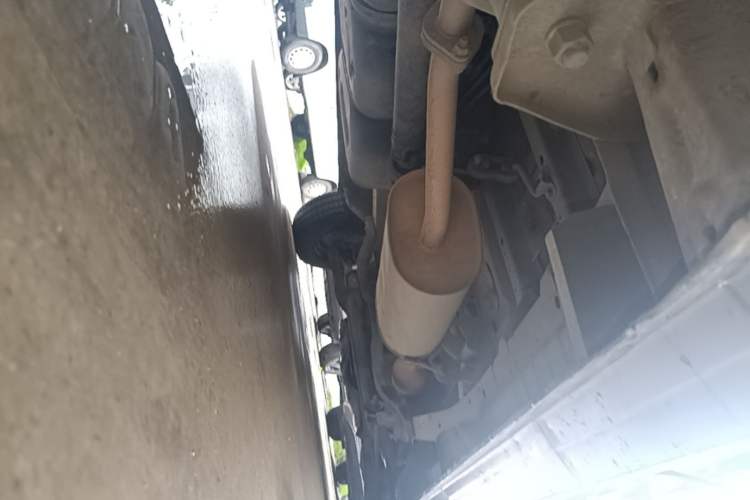 Used FORTHING Lingzhi 2019 M5L 1.6L 7-Seater Exclusive Model China VI Standard Chassis Rear Right