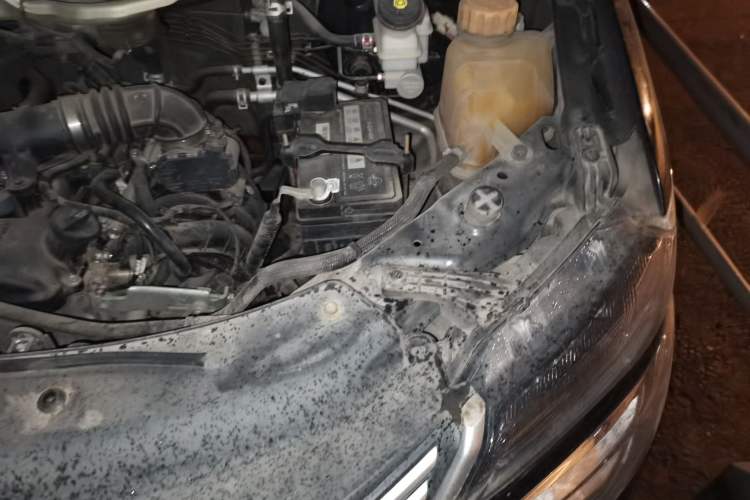 Used FORTHING Lingzhi 2019 M5L 1.6L 7-Seater Standard Model China VI Engine Bay Left