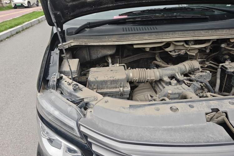 Used FORTHING Lingzhi 2019 M5L 1.6L 7-Seater Luxury Model China VI Standard Engine Bay Right