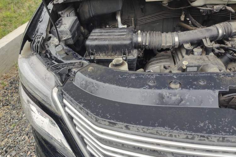 Used FORTHING Lingzhi 2019 M5L 1.6L 7-Seater Exclusive Model China VI Standard Engine Bay Right