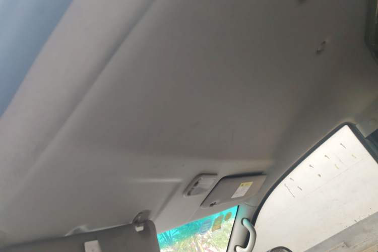 Used FORTHING Lingzhi 2019 V3 1.6L 2-Seat Standard Model China VI Headliner