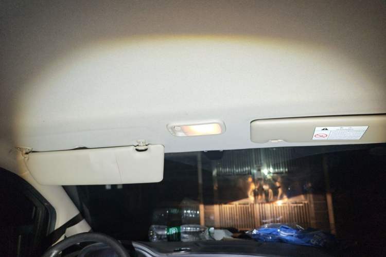 Used FORTHING Lingzhi 2019 V3 1.6L 2-Seat Standard Model China VI Headliner