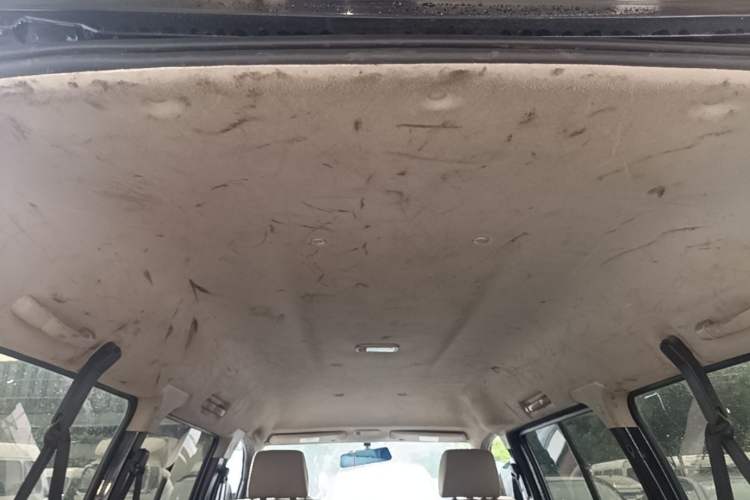 Used FORTHING Lingzhi 2019 M5L 1.6L 7-Seater Exclusive Model China VI Standard Headliner