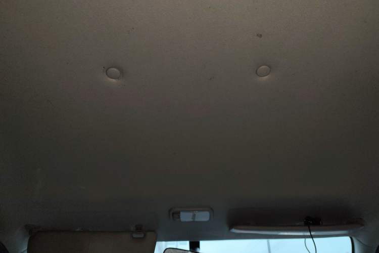 Used FORTHING Lingzhi 2019 M5L 1.6L 7-Seater Exclusive Model China VI Standard Headliner