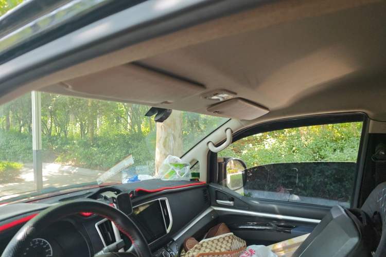 Used FORTHING Lingzhi 2019 V3 1.6L 2-Seat Standard Model China VI Headliner