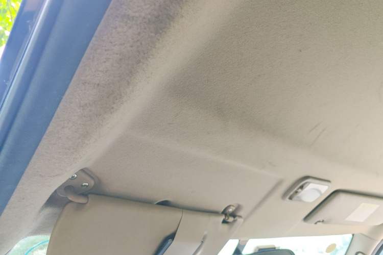 Used FORTHING Lingzhi 2019 M5L 1.6L 7-Seater Base Model China VI Standard Headliner