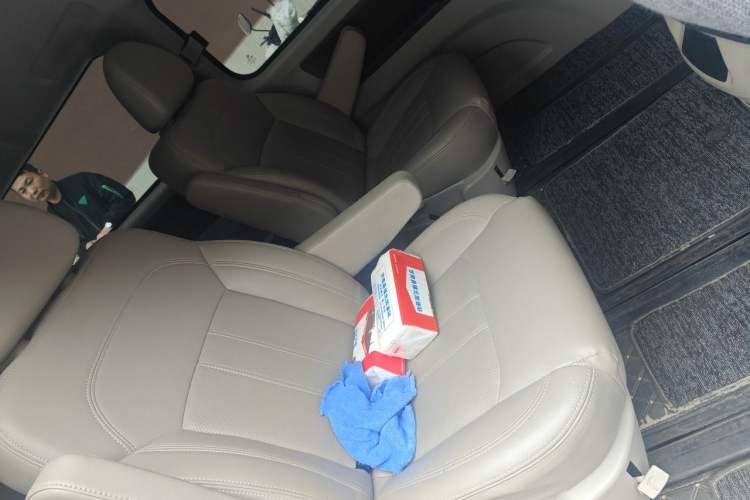 Used FORTHING Lingzhi 2019 M5L 1.6L 7-Seater Luxury Model China VI Standard Left Rear Seat