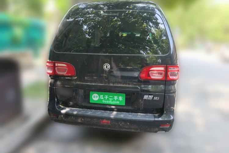 Used FORTHING Lingzhi 2019 M5L 1.6L 7-Seater Exclusive Model China VI Standard Rear