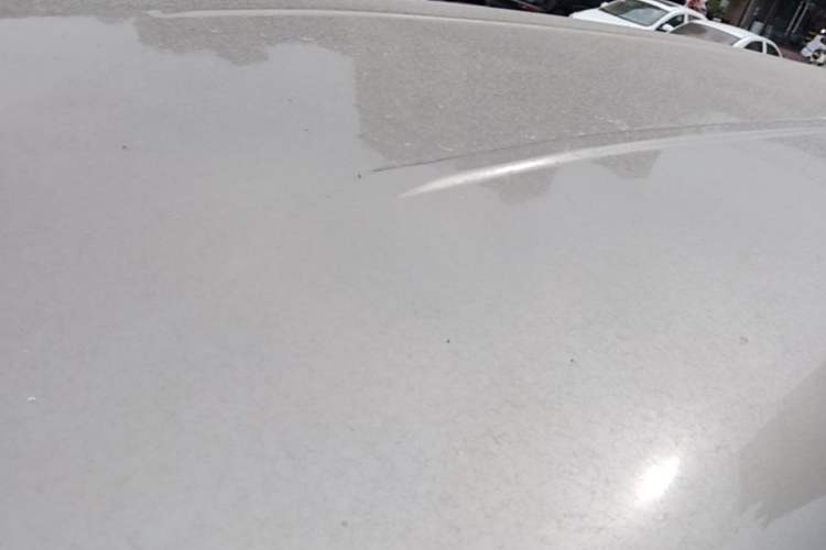 Used FORTHING Lingzhi 2019 M5L 1.6L 7-Seater Base Model China VI Standard Roof