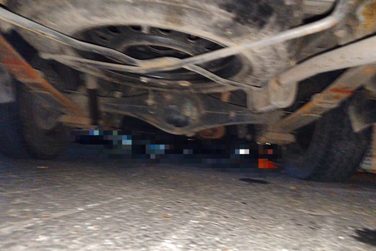 Used FORTHING Lingzhi 2019 V3 1.6L 2-Seat Standard Model China VI Chassis Rear