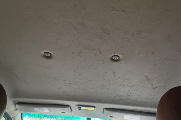 Used FORTHING Lingzhi 2019 M5L 1.6L 7-Seater Standard Model China VI Headliner
