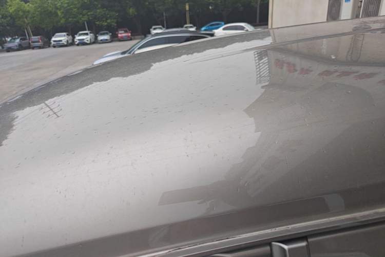 Used FORTHING Lingzhi 2019 M5 1.6L Exclusive Edition 7-Seater Roof