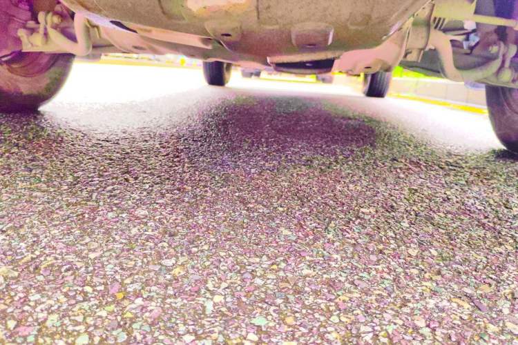 Used FORTHING Lingzhi  Chassis Front