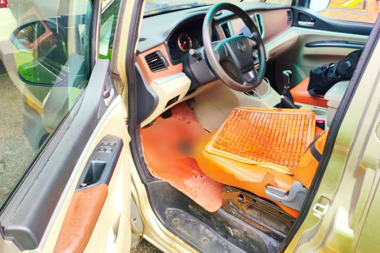 Used FORTHING Lingzhi  Driver Seat
