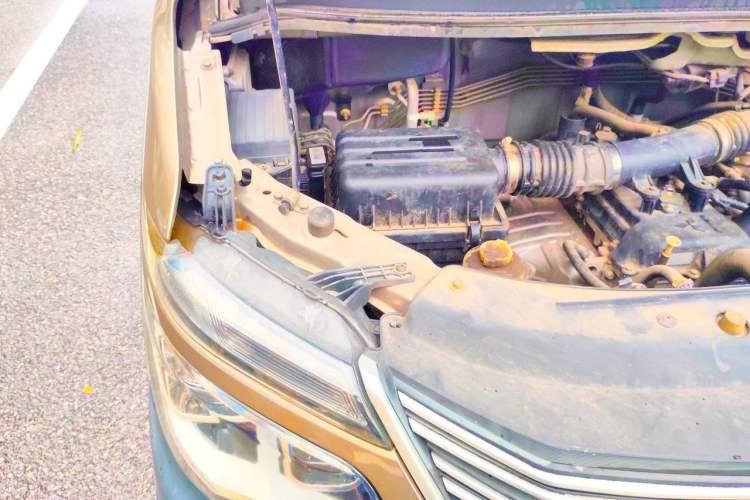 Used FORTHING Lingzhi  Engine Bay Right