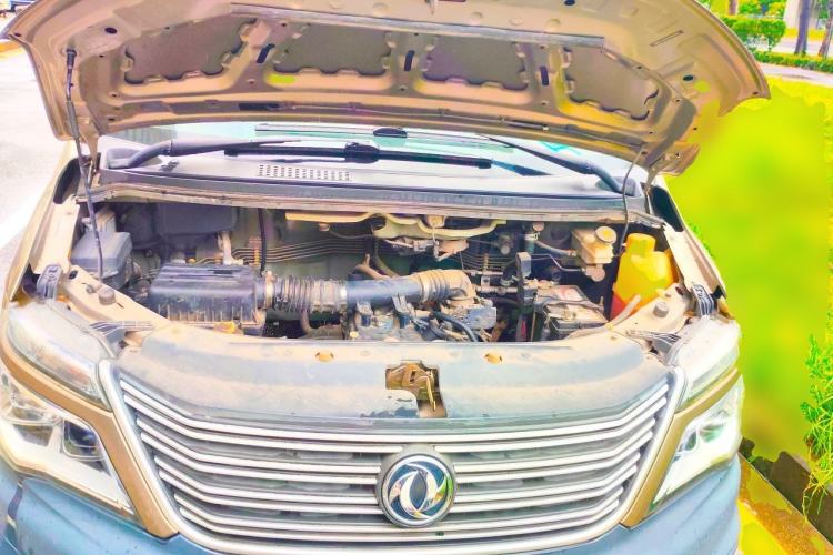 Used FORTHING Lingzhi  Engine Bay