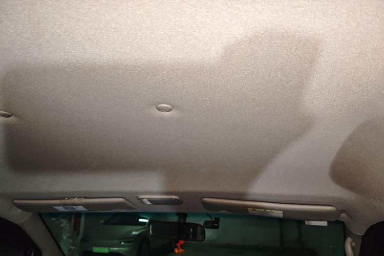 Used FORTHING Lingzhi 2019 M5L 1.6L 7-Seater Exclusive Model China VI Standard Headliner