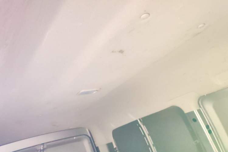Used FORTHING Lingzhi  Headliner