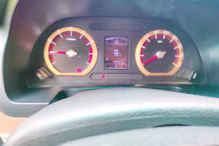 Used FORTHING Lingzhi  Odometer Close Up