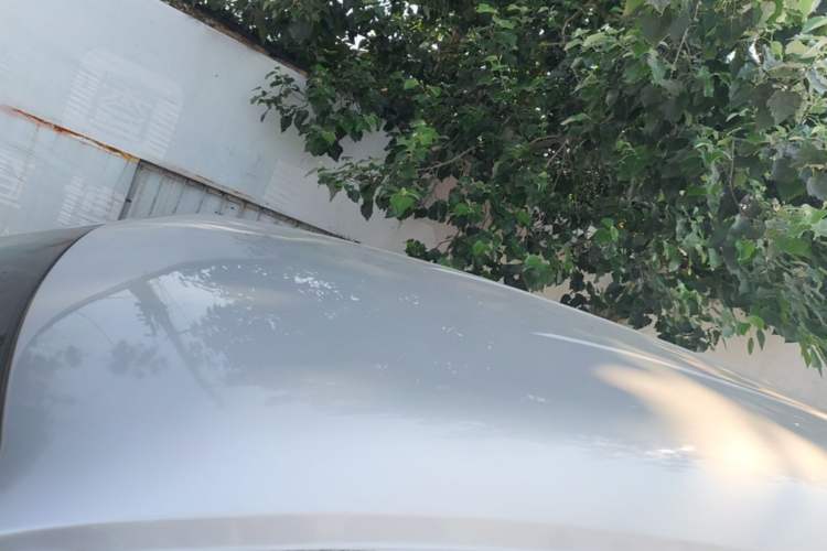 Used FORTHING Lingzhi 2019 M5L 1.6L 7-Seater Base Model China VI Standard Roof